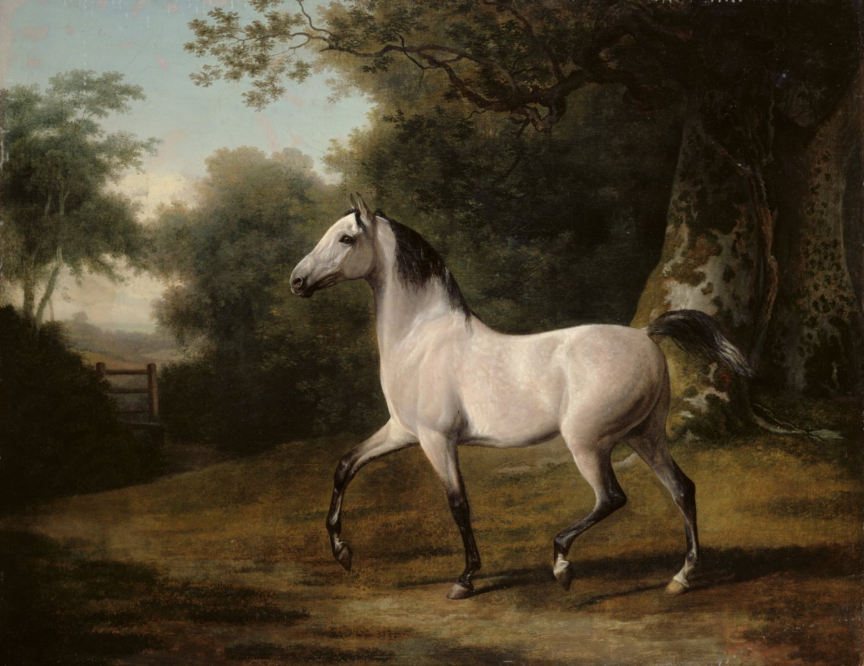 Ein grauer arabischer Hengst in einer bewaldeten Landschaft von Jacques Laurent Agasse
