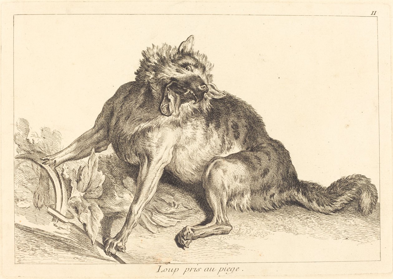 Wolf in einer Falle gefangen von Jacques Philippe Le Bas and Jean Eric Rehn after Jean Baptiste Oudry