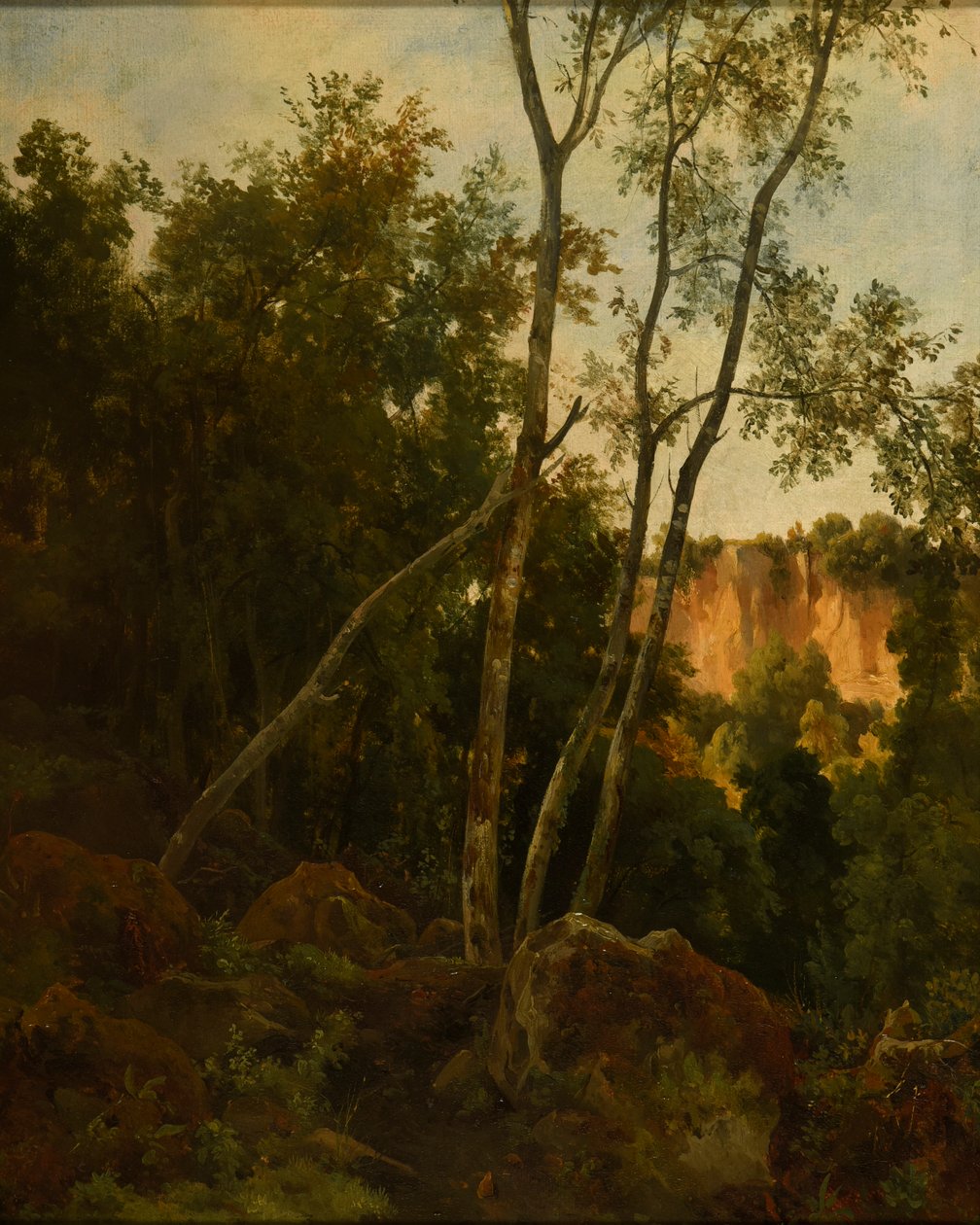 Wald mit Felsen von Jacques Raymond Brascassat