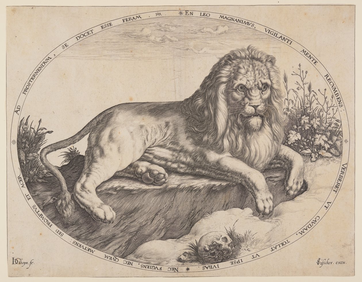 Den Grooten Leeuw (Der große Löwe) von Jacques de Gheyn II