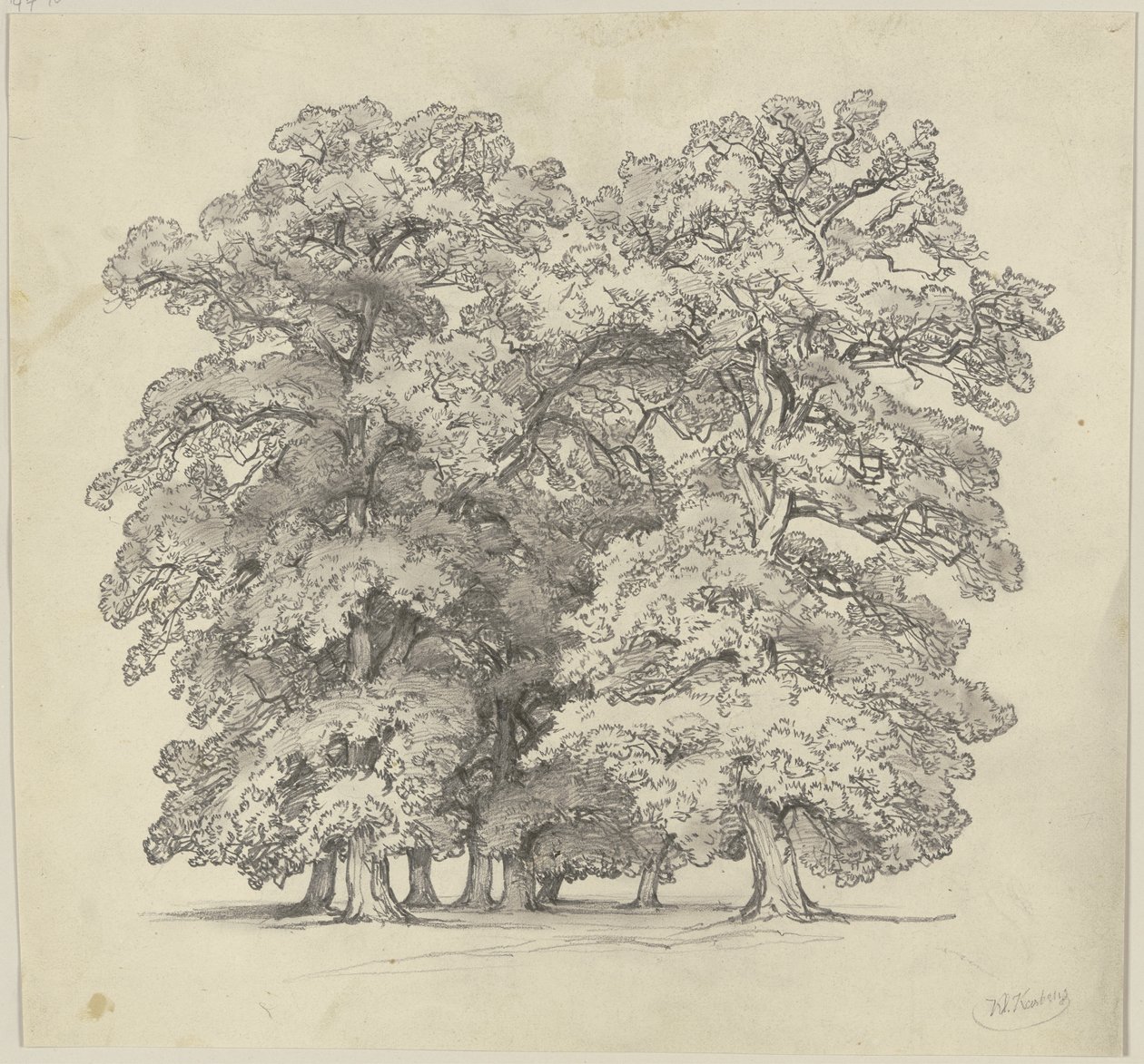 Baumfällung von Jakob Becker