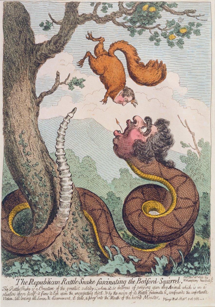 Die republikanische Klapperschlange fasziniert das Bedford-Eichhörnchen, veröffentlicht von Hannah Humphrey 1795 von James Gillray