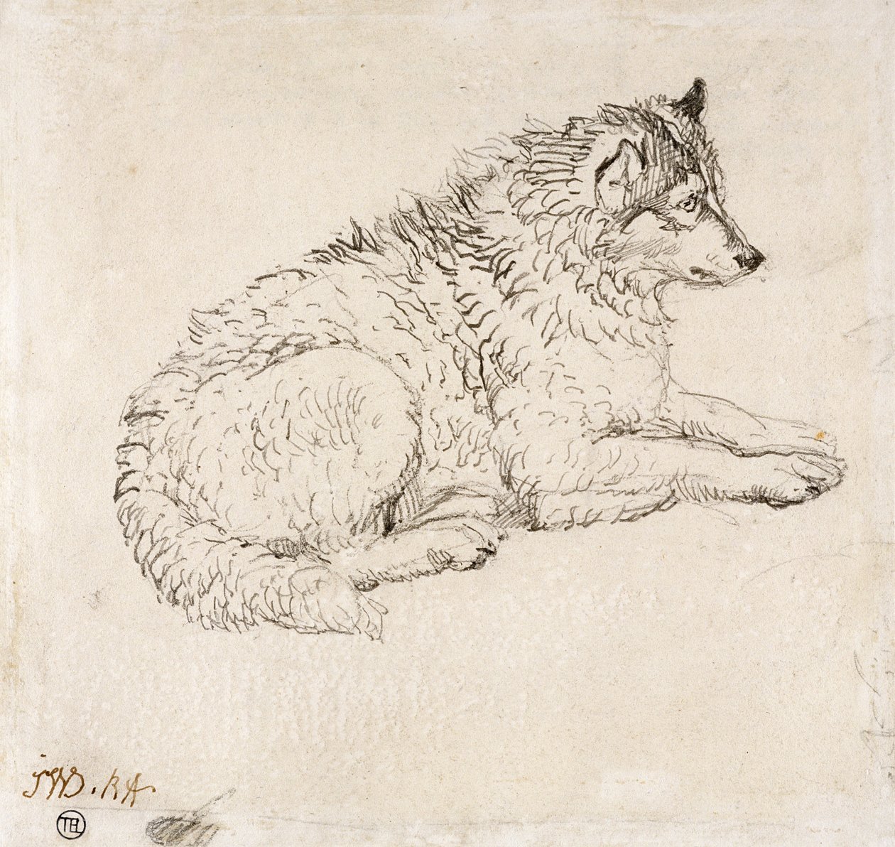 Arktischer Hund, nach rechts blickend von James Ward