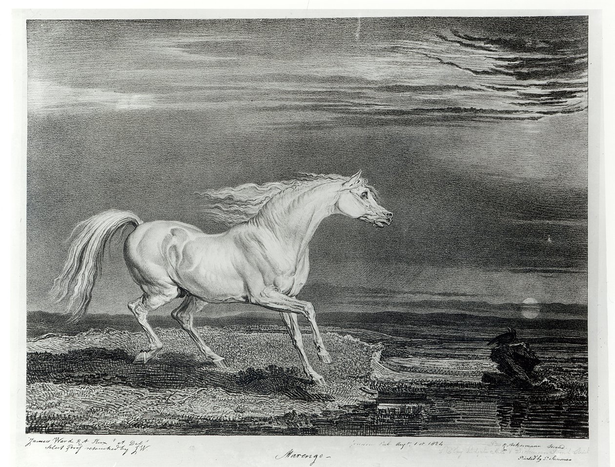 Marengo, graviert vom Künstler, veröffentlicht von R. Ackermann, 1824 von James Ward