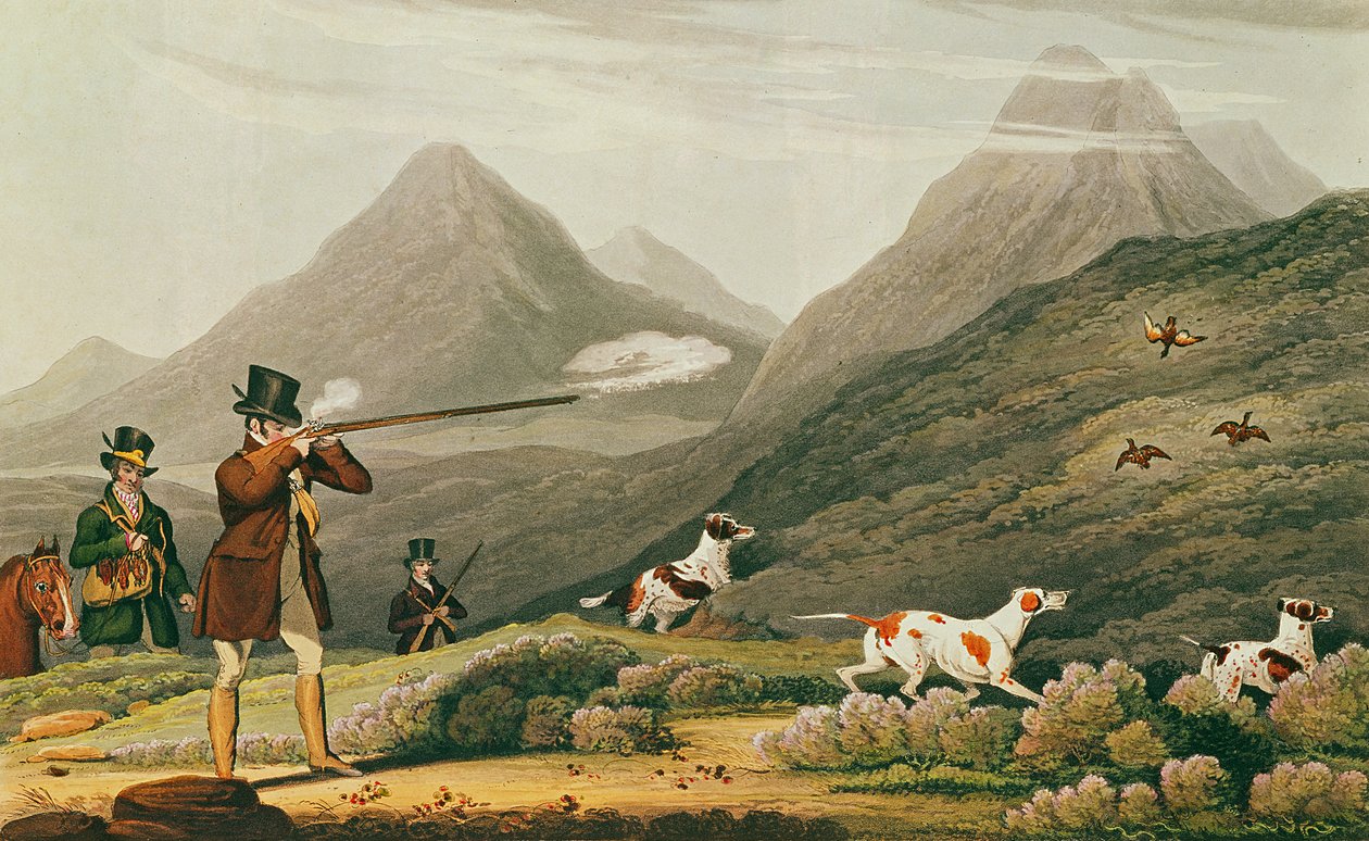 Moorhuhnjagd von James (after) Pollard