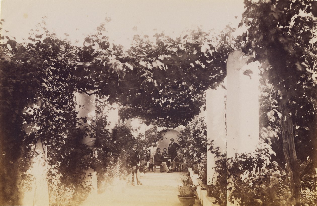 Garten - Capri von James Anderson