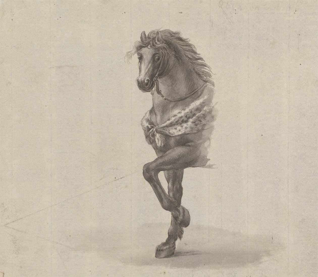 Studie der Vorderseite eines Pferdes von James Bruce