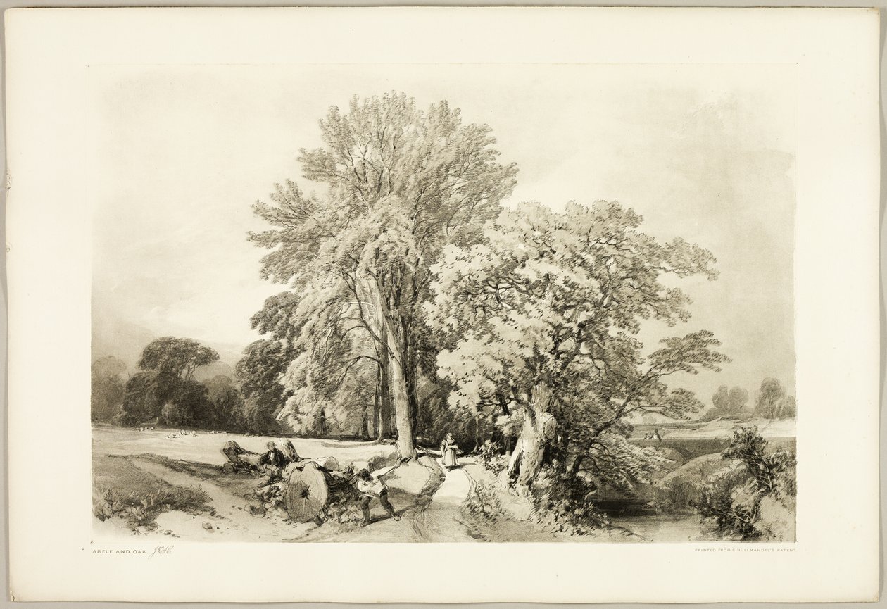 Esche und Eiche, aus Der Park und der Wald von James Duffield Harding