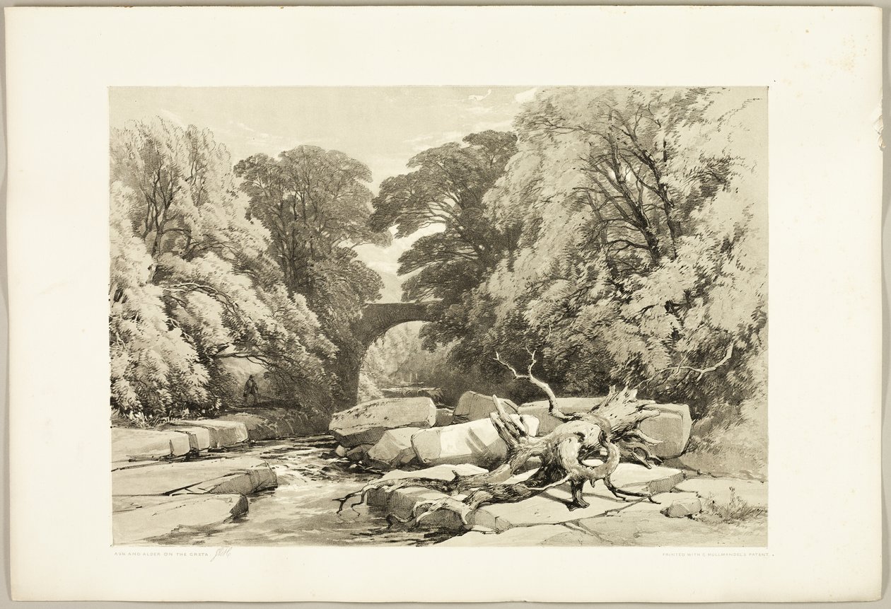 Esche und Erle an der Greta, aus Der Park und der Wald von James Duffield Harding