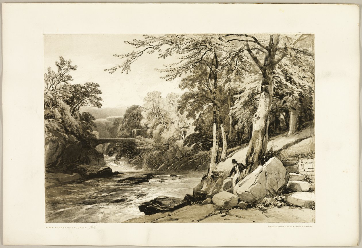 Buche und Esche an der Greta, aus Der Park und der Wald von James Duffield Harding