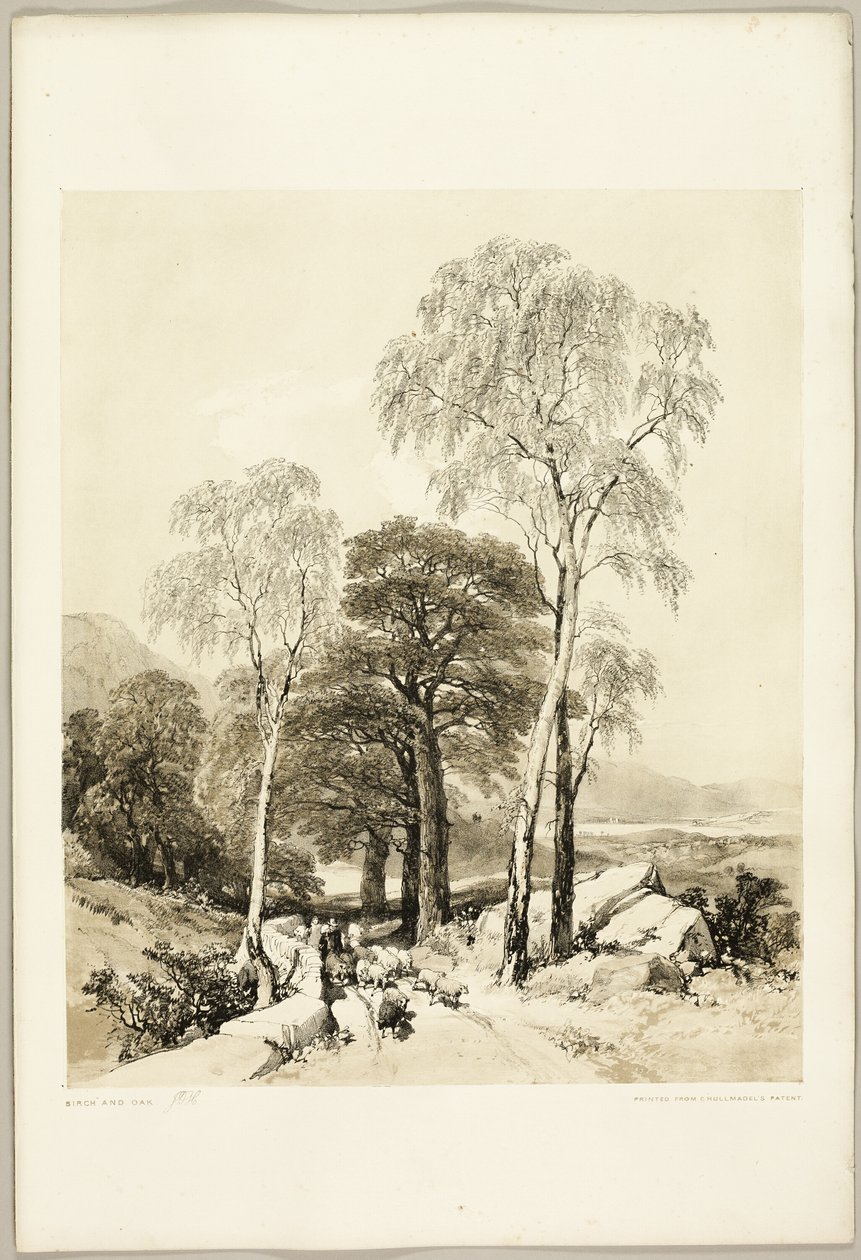 Birke und Eiche, aus Der Park und der Wald von James Duffield Harding