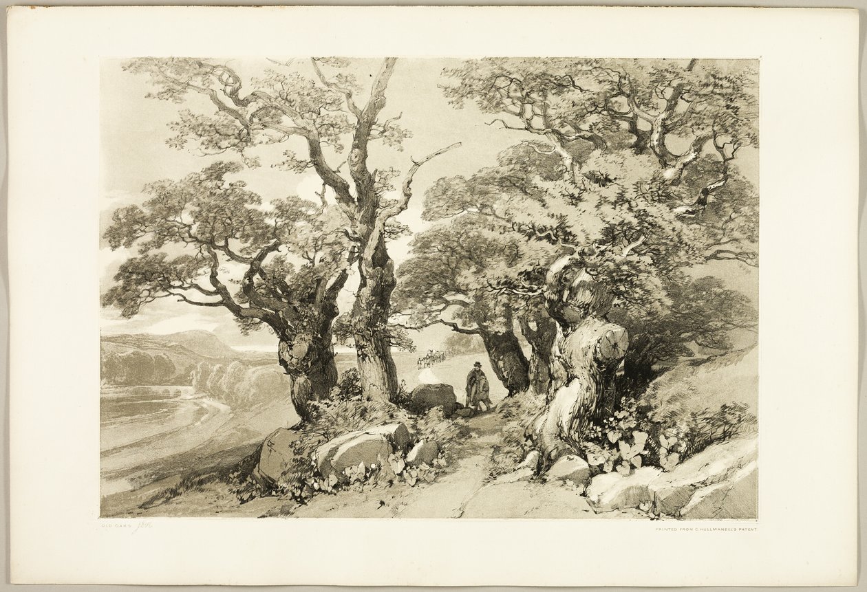 Alte Eichen, aus Der Park und der Wald von James Duffield Harding