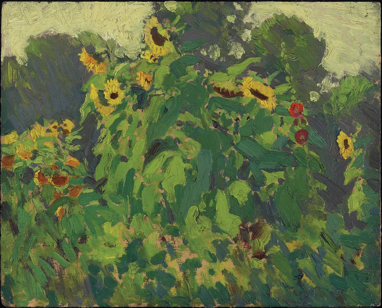 Sonnenblumen, Thornhill von James Edward Hervey Macdonald