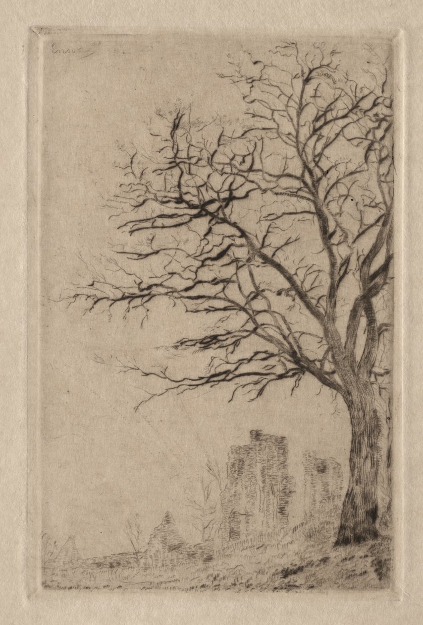 Akazie von James Ensor