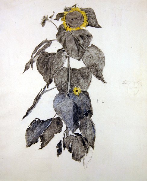 Sonnenblumen von James Kerr Lawson