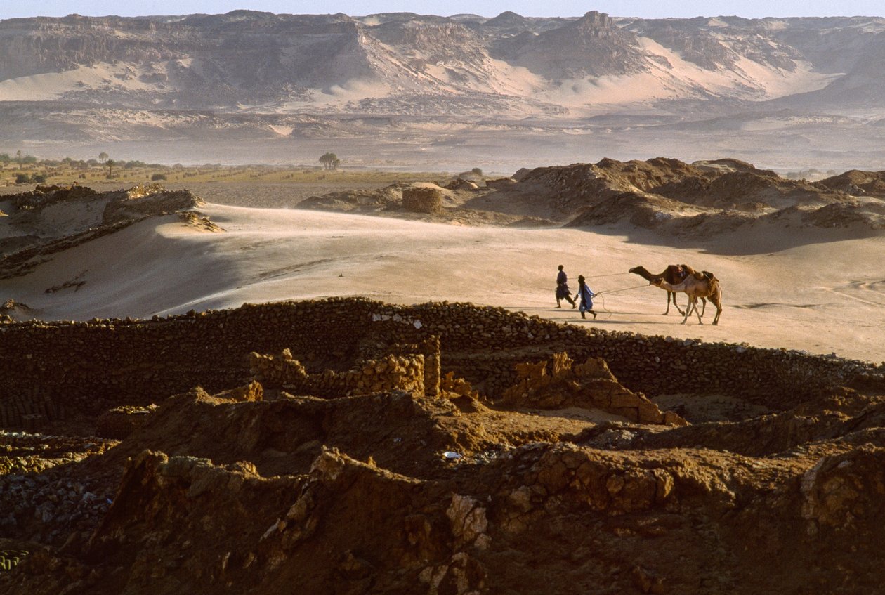 Kamel mit Salzkarawanenmitgliedern überquert ein Wüstenplateau in BILMA, NIGER. BILMA, NIGER von James L Stanfield