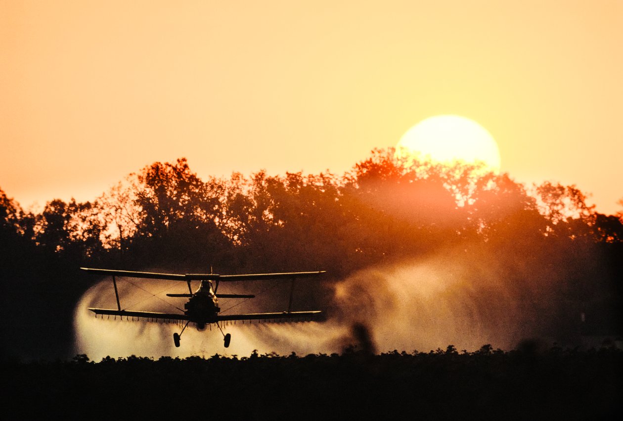 Doppeldecker-Sprühflugzeug versprüht Pestizide auf ein Feld entlang des Mississippi von James L Stanfield