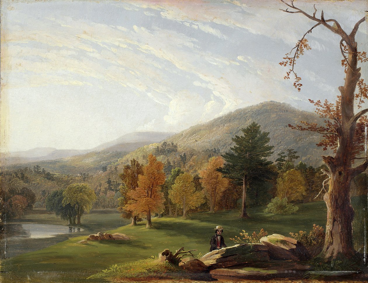 Ansicht unter den Helderbergs, Catskills in der Ferne, 1850 von James McDougal Hart