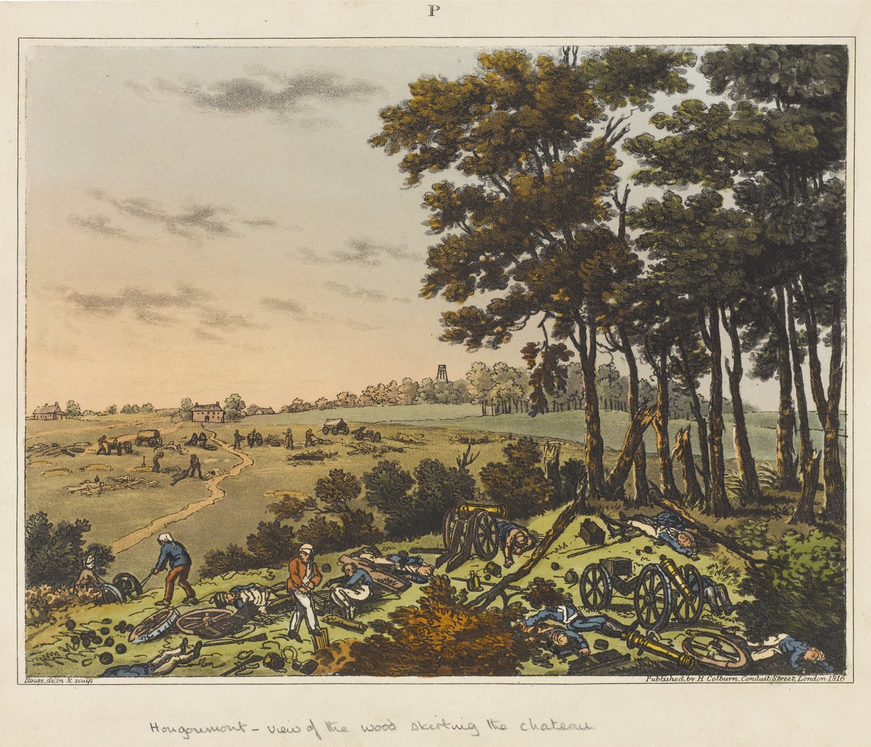 Hougoumont - Blick auf den Wald, der das Schloss umgibt, aus 