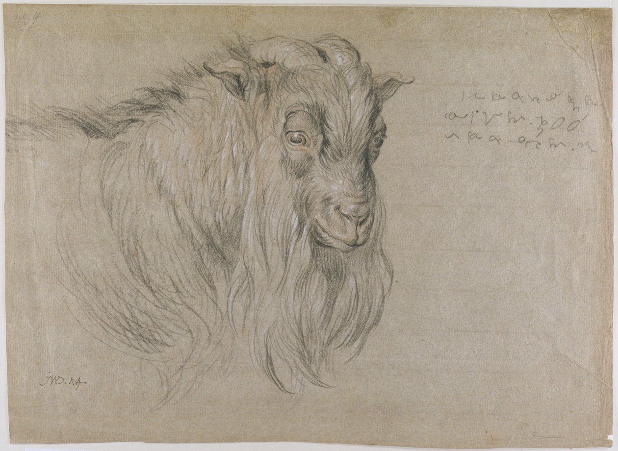 Studie des Kopfes eines Widders von James Ward