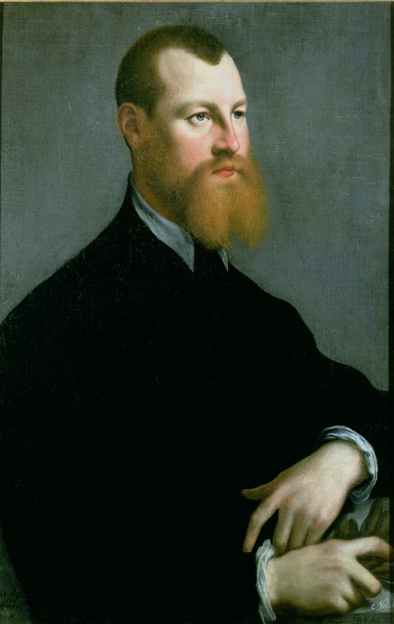 Porträt eines Mannes mit rotem Bart, 16. Jahrhundert von Jan Stephen van Calcar