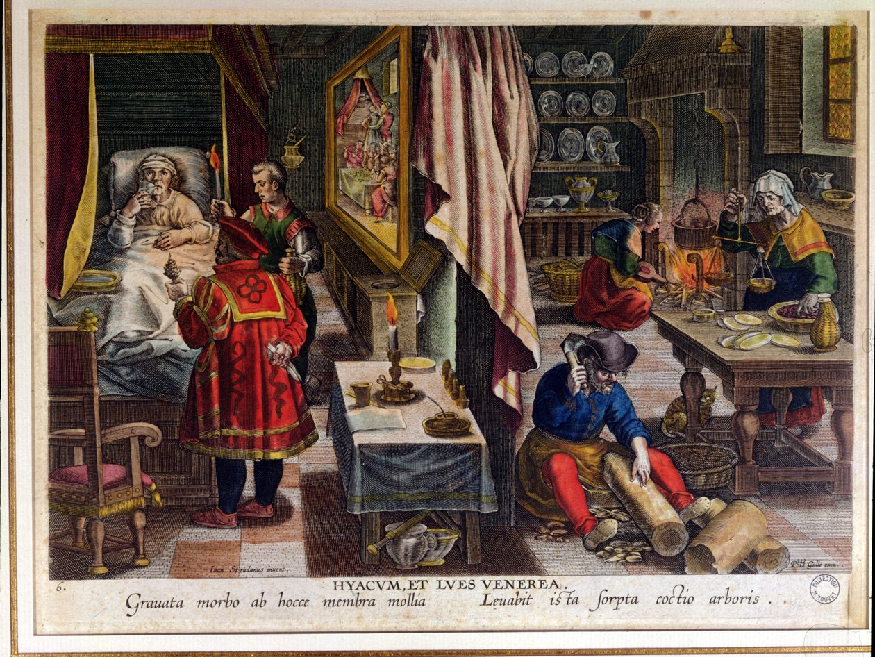 Vorbereitung und Verwendung von Guayaco zur Behandlung von Syphilis, graviert von Philip Galle (1537-1612) ca. 1570 von Jan van der Straet