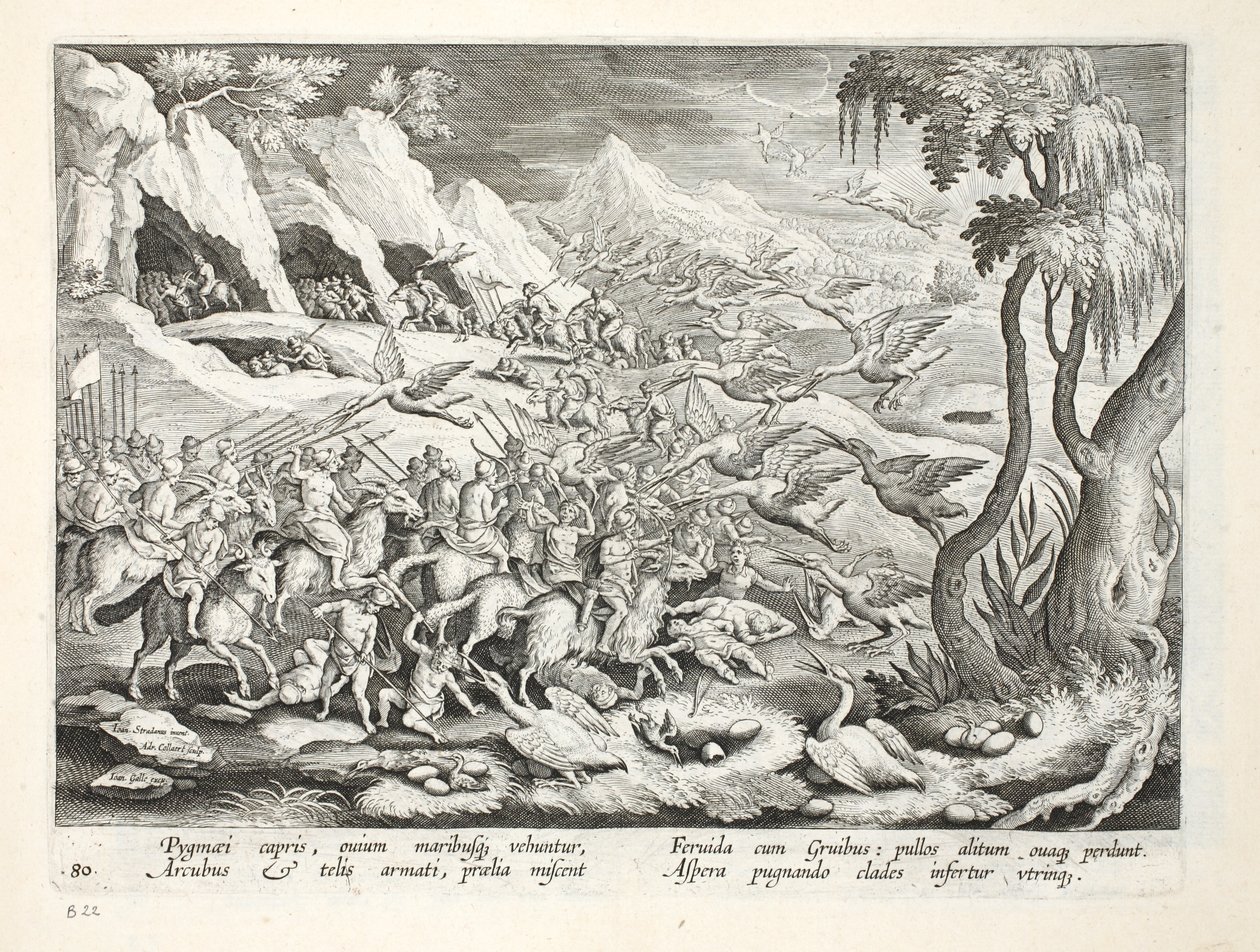Pygmäen auf Ziegen jagen Kraniche, Illustration aus 
