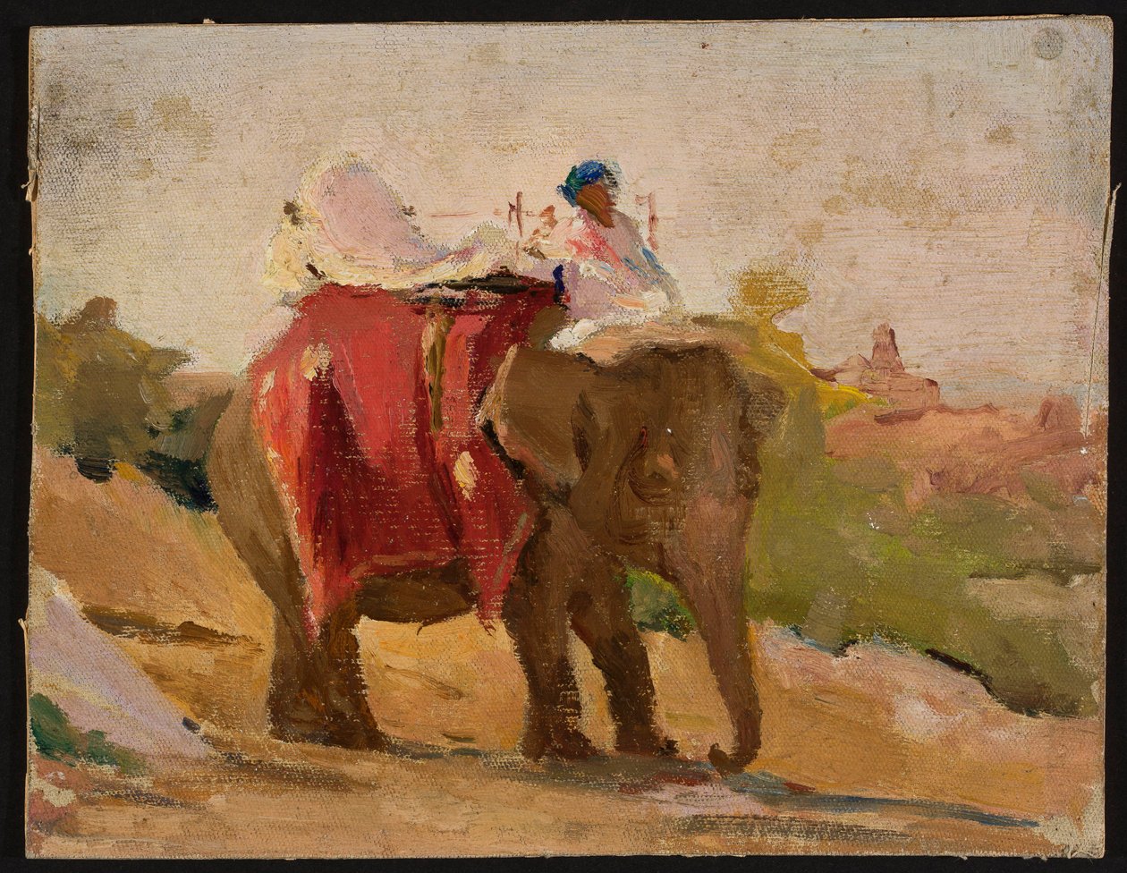 Chitorgarh - mein Elefant. Aus einer Reise nach Indien von Jan Ciągliński