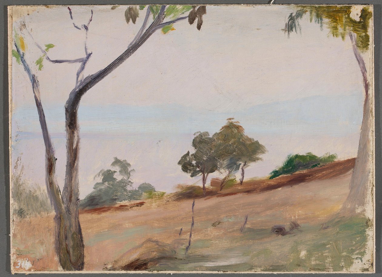 Landschaft mit Bäumen. Von einer Reise nach Konstantinopel von Jan Ciągliński