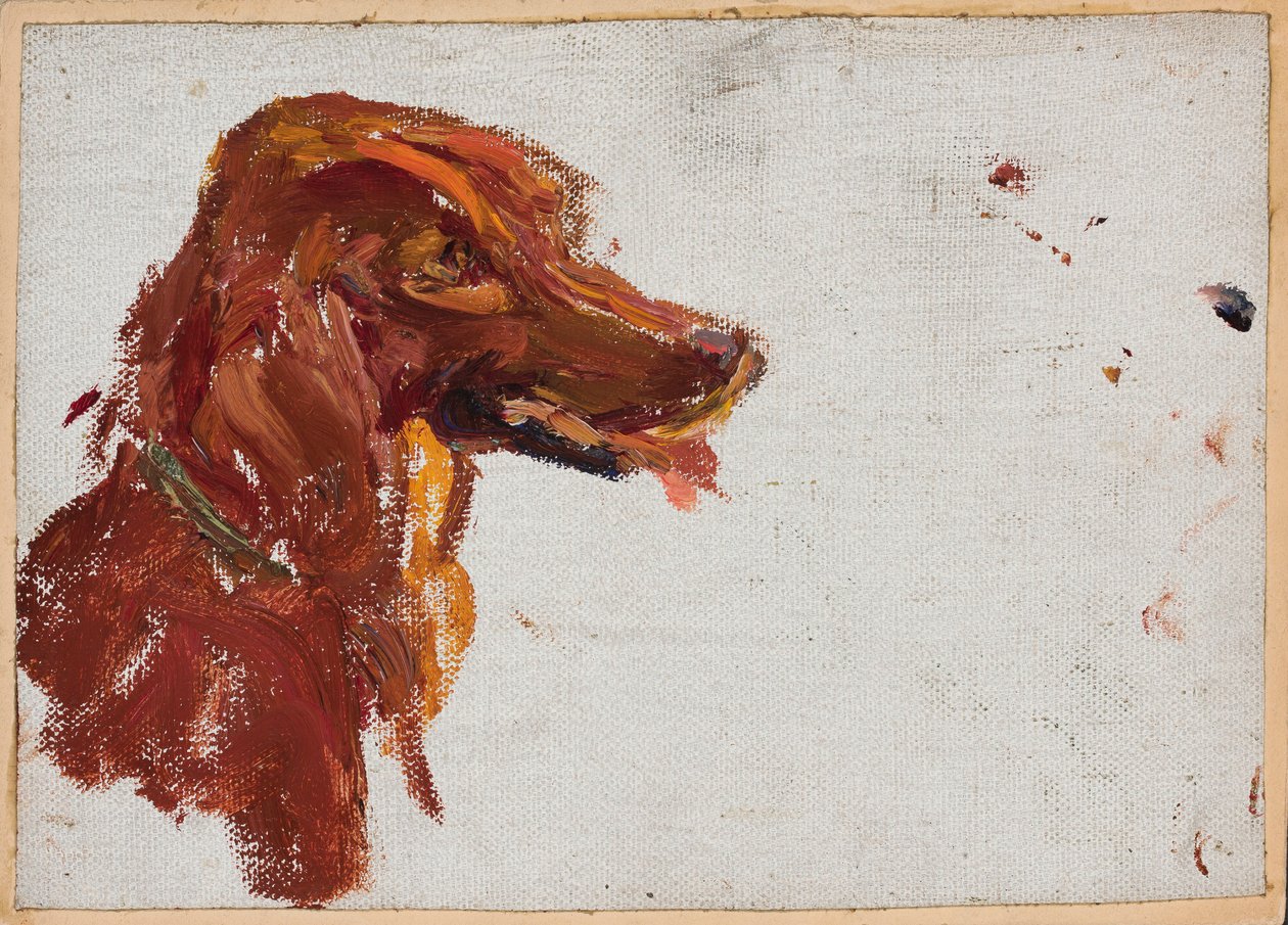 Studie des Kopfes eines Hundes von Fürst Golizyn. Marjino von Jan Ciągliński