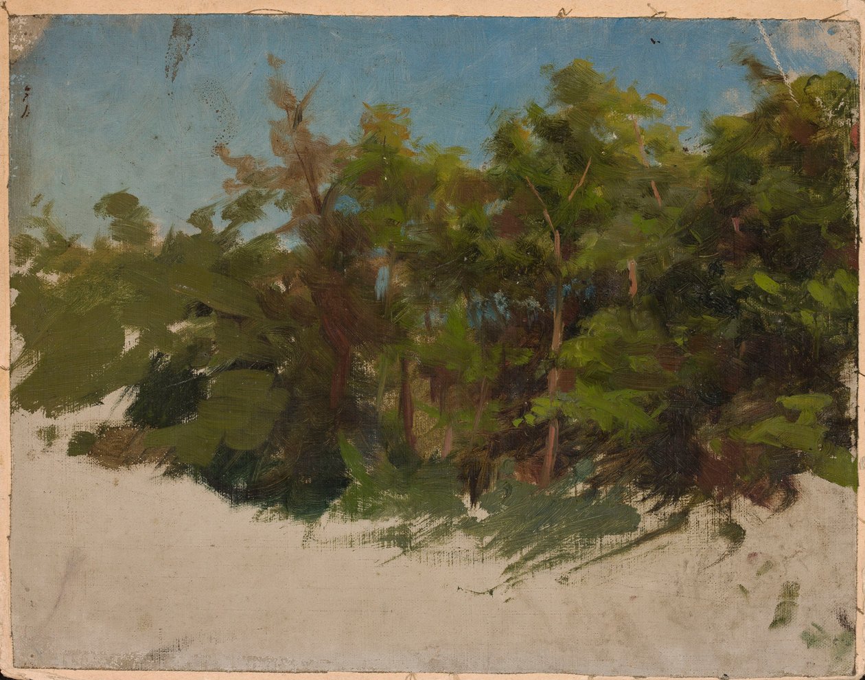 Studie aus Podolien von Jan Ciągliński