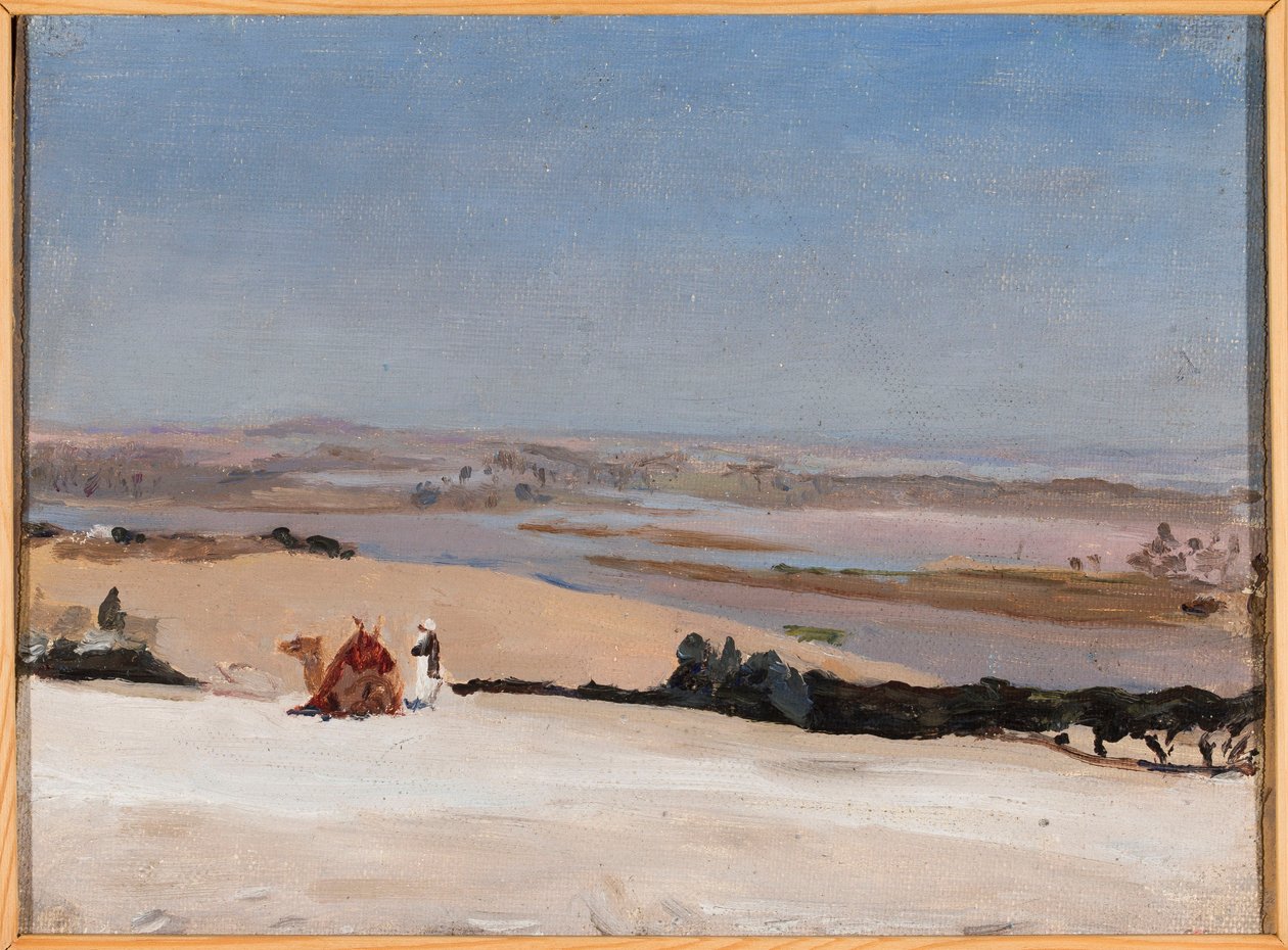 Blick von der Pyramide. Aus einer Reise nach Ägypten von Jan Ciągliński