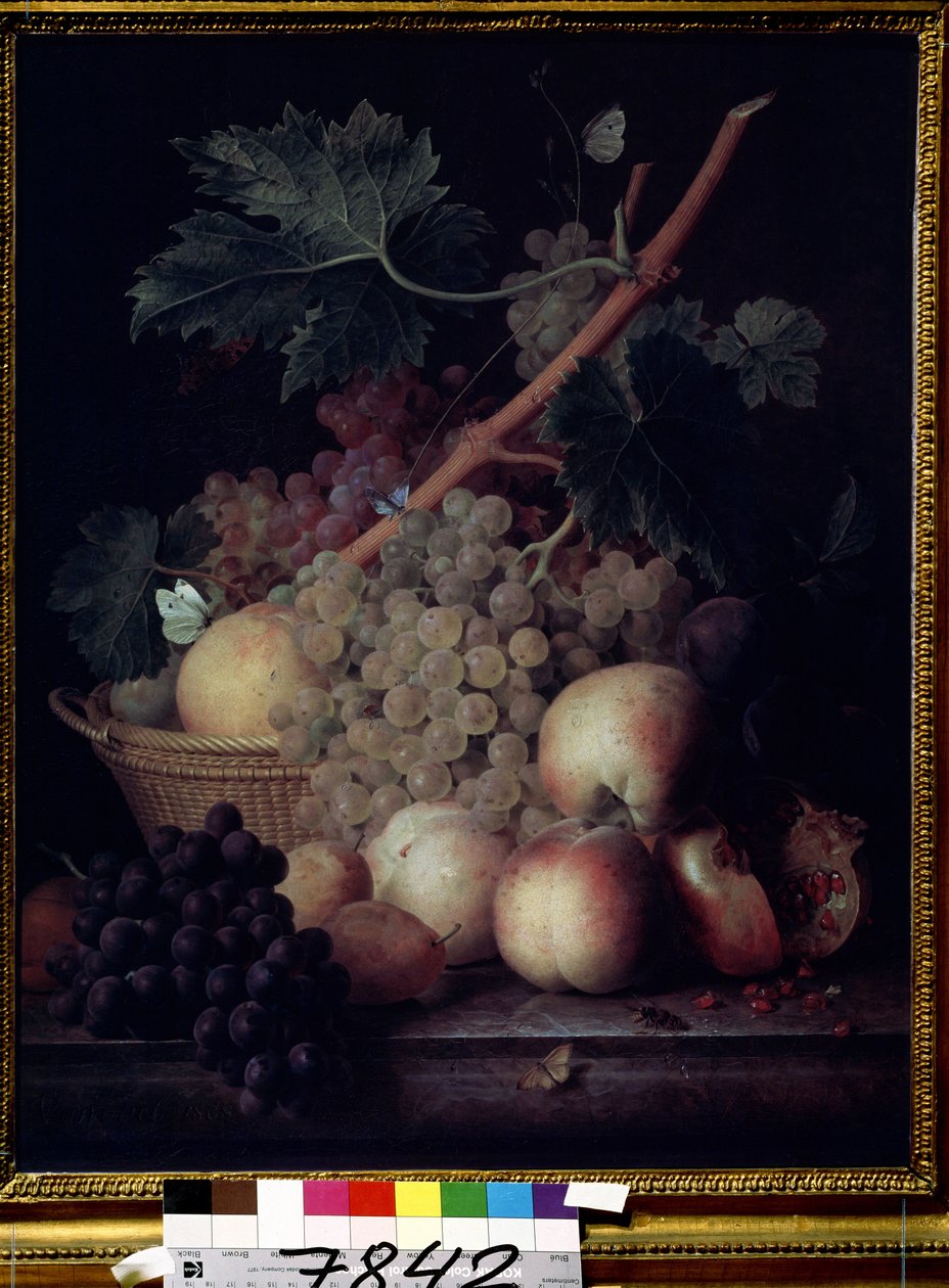 Früchte von Jan Frans van Dael