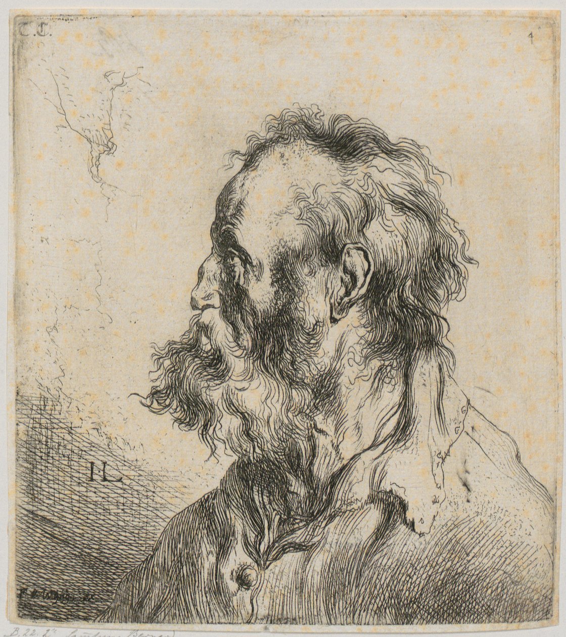 Brustbild eines bärtigen alten Mannes von Jan Lievens