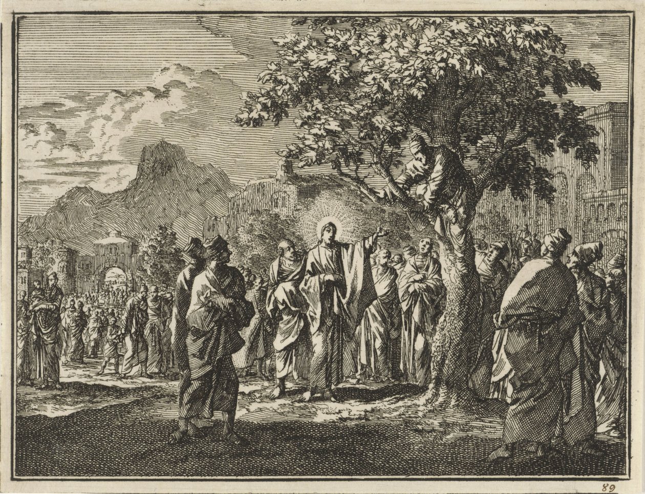 Zachäus im Feigenbaum von Jan Luyken