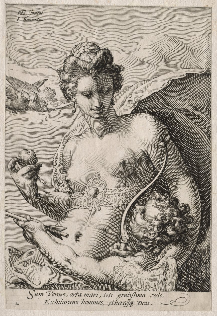 Venus und Amor, ca. 1595 von Jan Saenredam