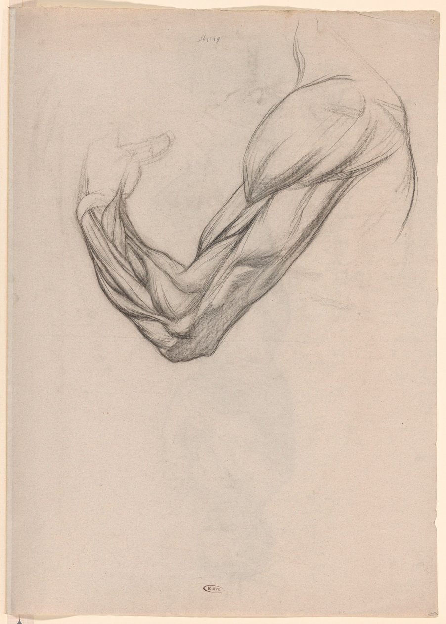 Anatomische Studie der Muskeln eines rechten Arms von Jan Veth