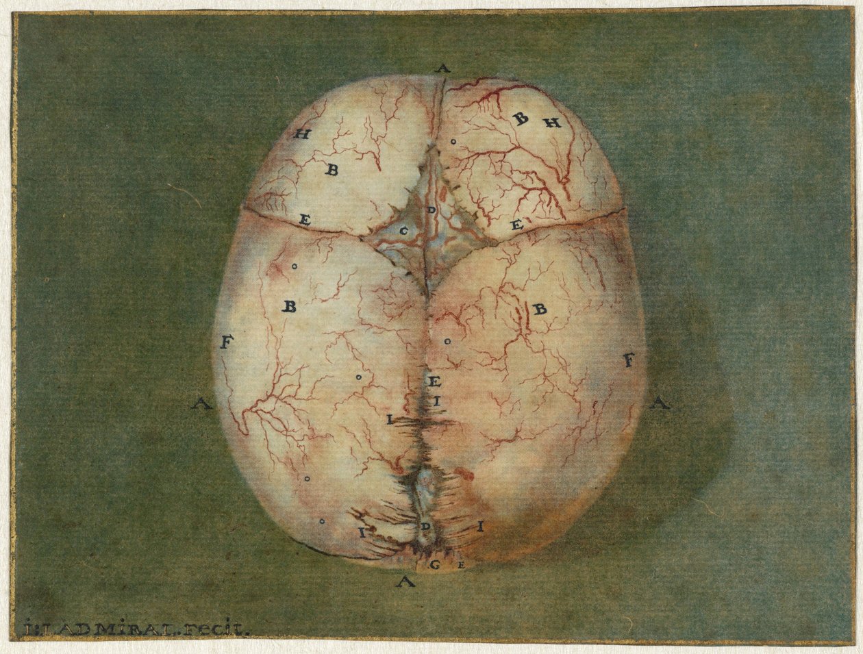 Drucke des Gehirns und des Herzens von Jan l