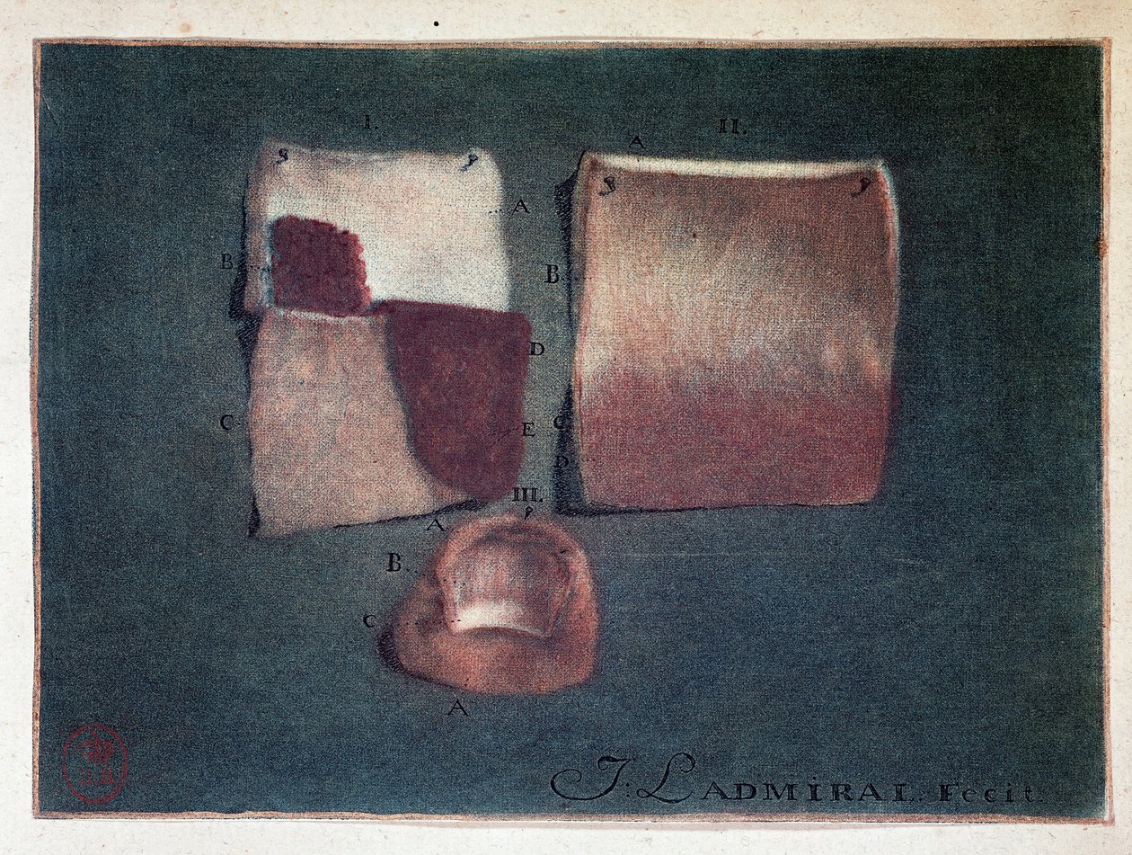 Verschiedene Hautfarben, Ladmiral von Jan or Joannes Ladmiral
