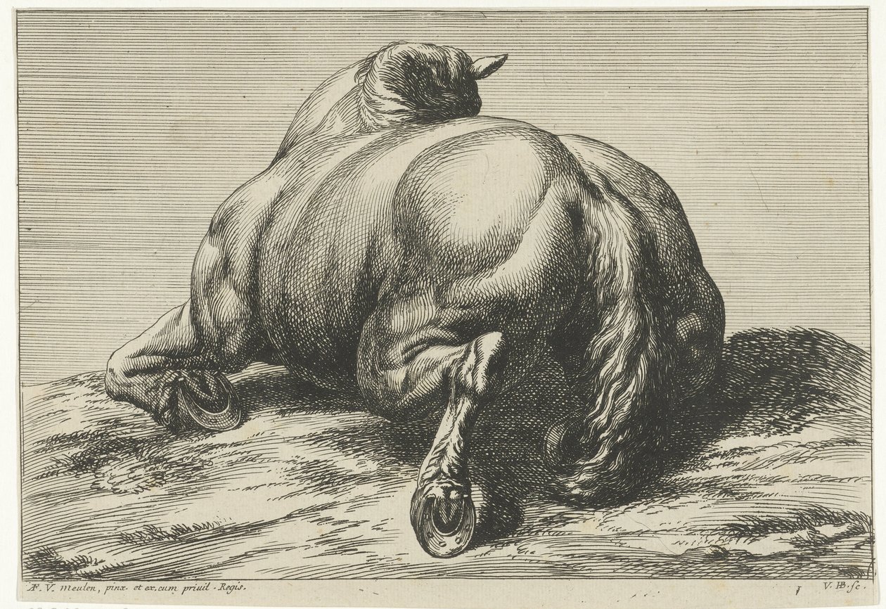 Gefallenes Pferd auf dem Bauch von hinten gesehen (Gefallene Pferde) von Jan van Huchtenburg