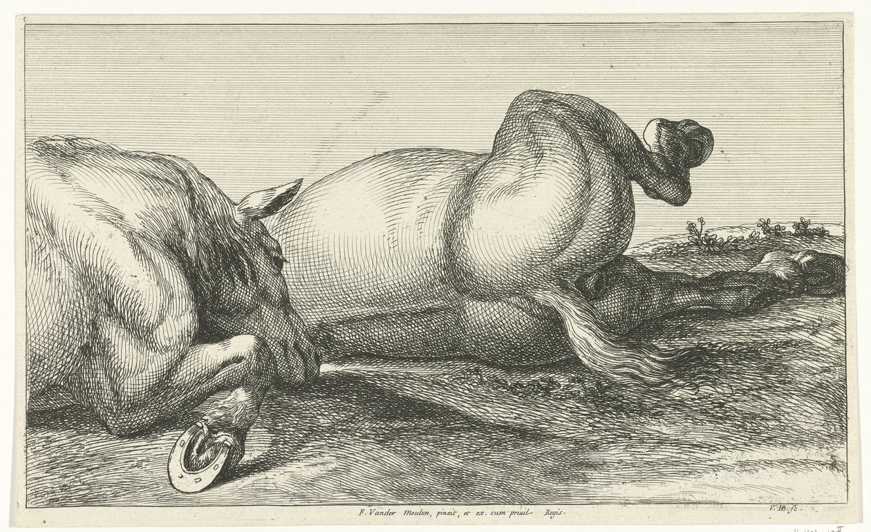 Zwei hintereinander liegende gefallene Pferde von Jan van Huchtenburg