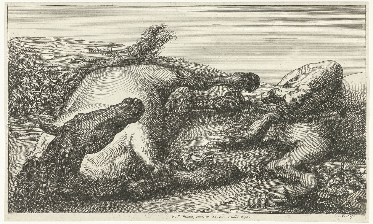 Zwei gefallene Pferde, das linke von vorne gesehen (Gesneuvelde paarden) von Jan van Huchtenburg