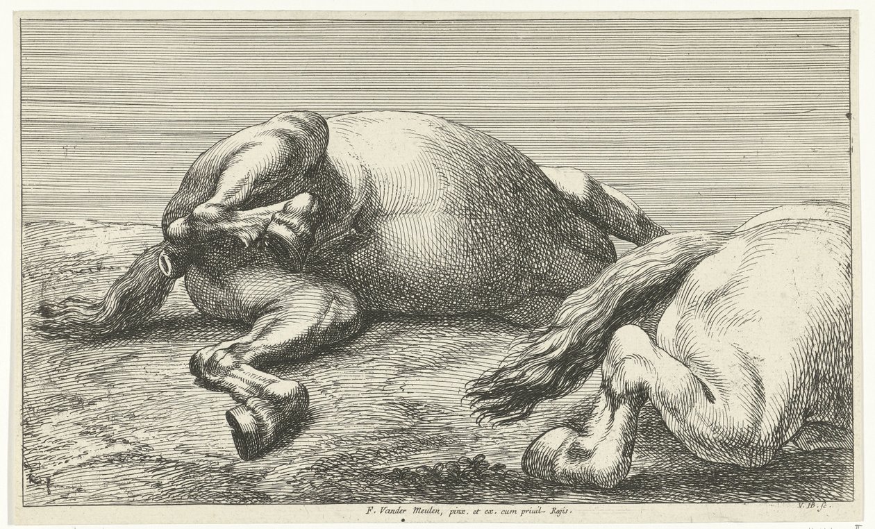 Zwei gefallene Pferde, von denen das rechte von der Seite gesehen wird von Jan van Huchtenburg
