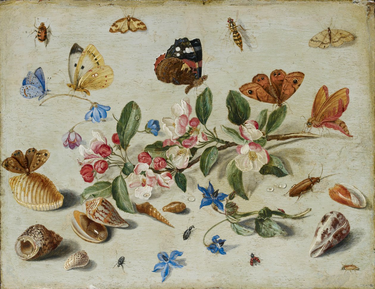 Blumen und Insekten, späte 1650er oder frühe 1660er Jahre von Jan van Kessel