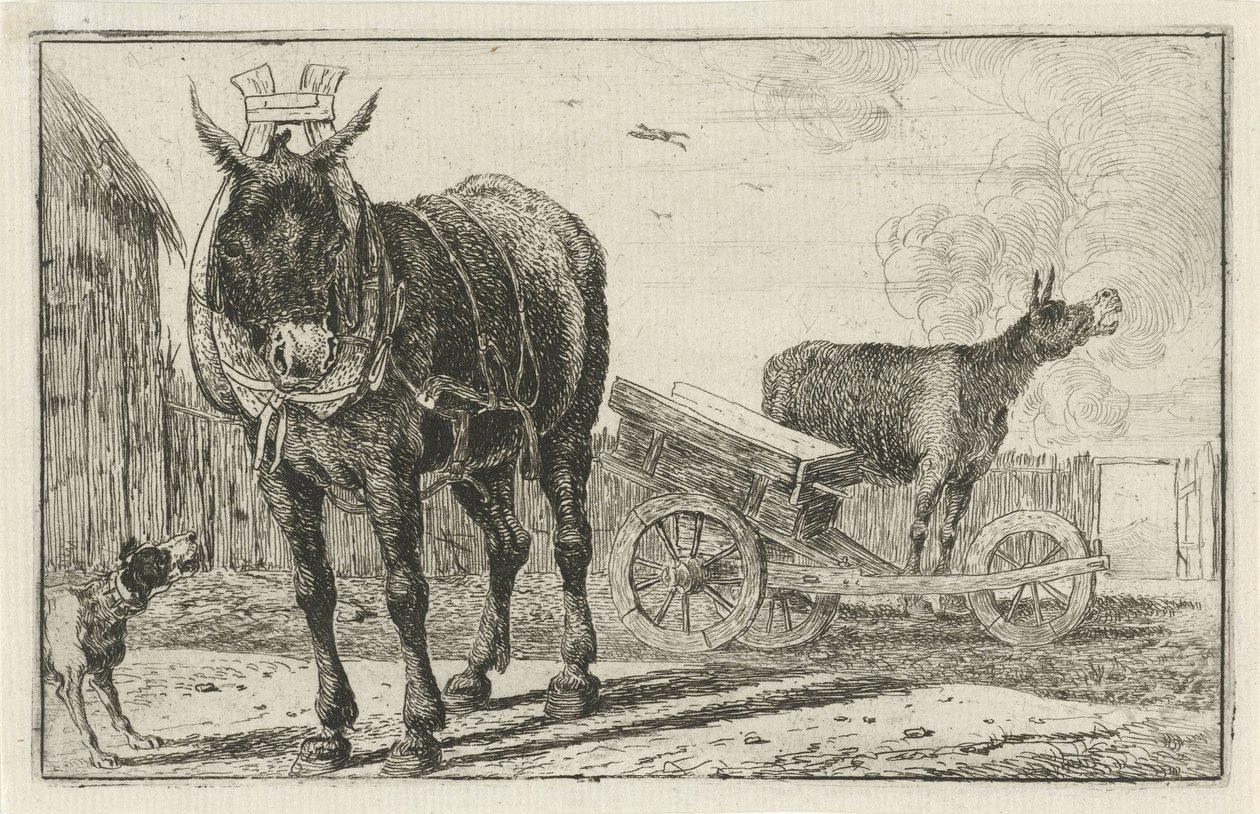 Zwei Esel von Jan van den Hecke
