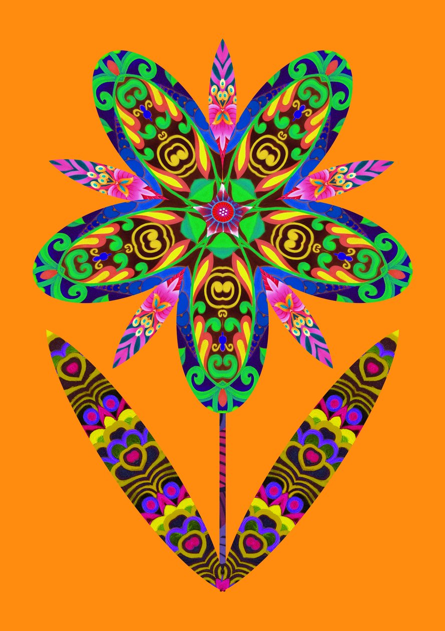 Blumenausschnitt auf Orange, 2020 von Jane Tattersfield