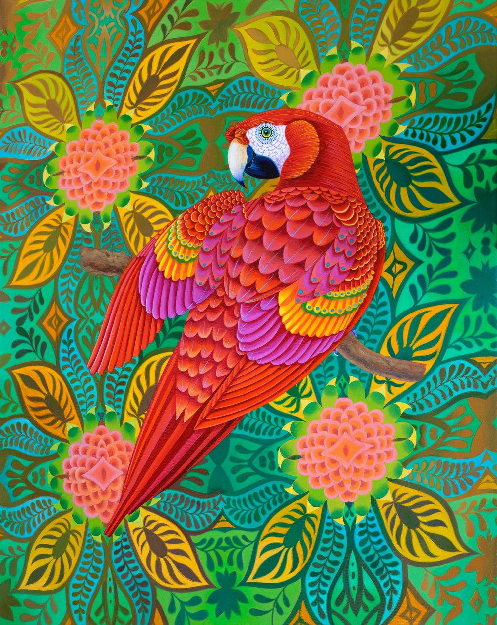 Roter Papagei von Jane Tattersfield