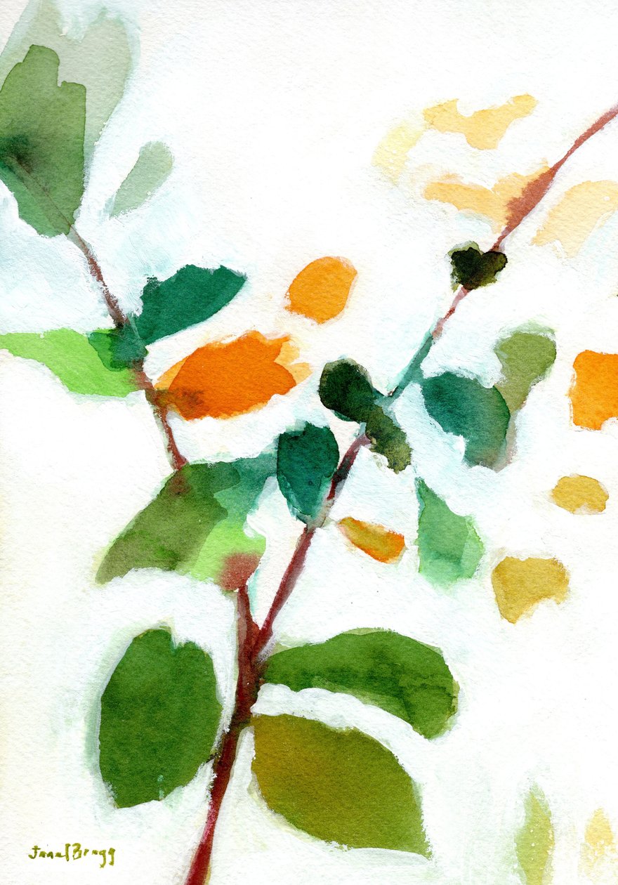 Botanisch aus dem Innenhof von Janel Bragg