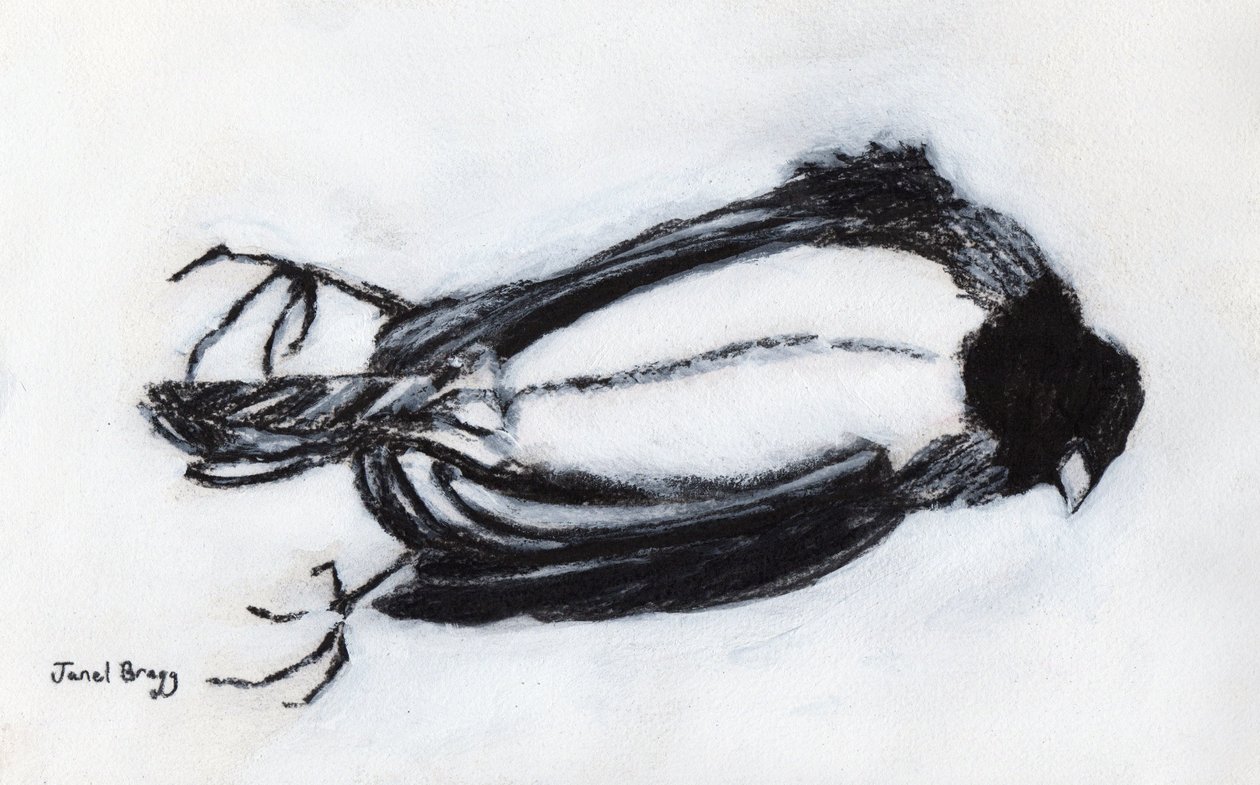 Toter Vogel an meiner Treppe, ca. 2018 von Janel Bragg