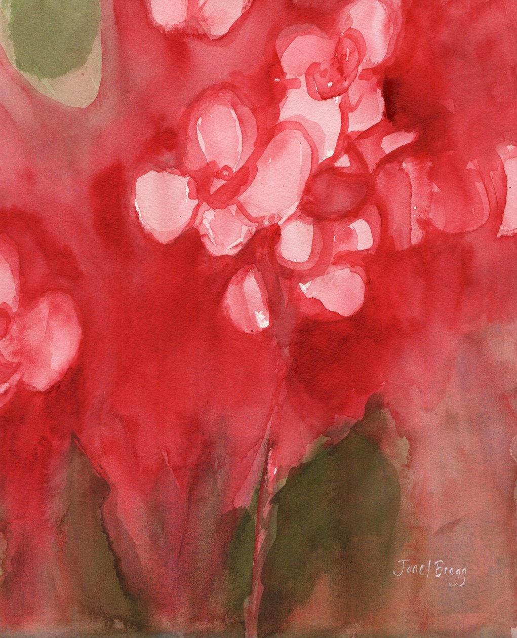 Orchidee in Alizarin-Karmesinrot, ca. 2017 von Janel Bragg